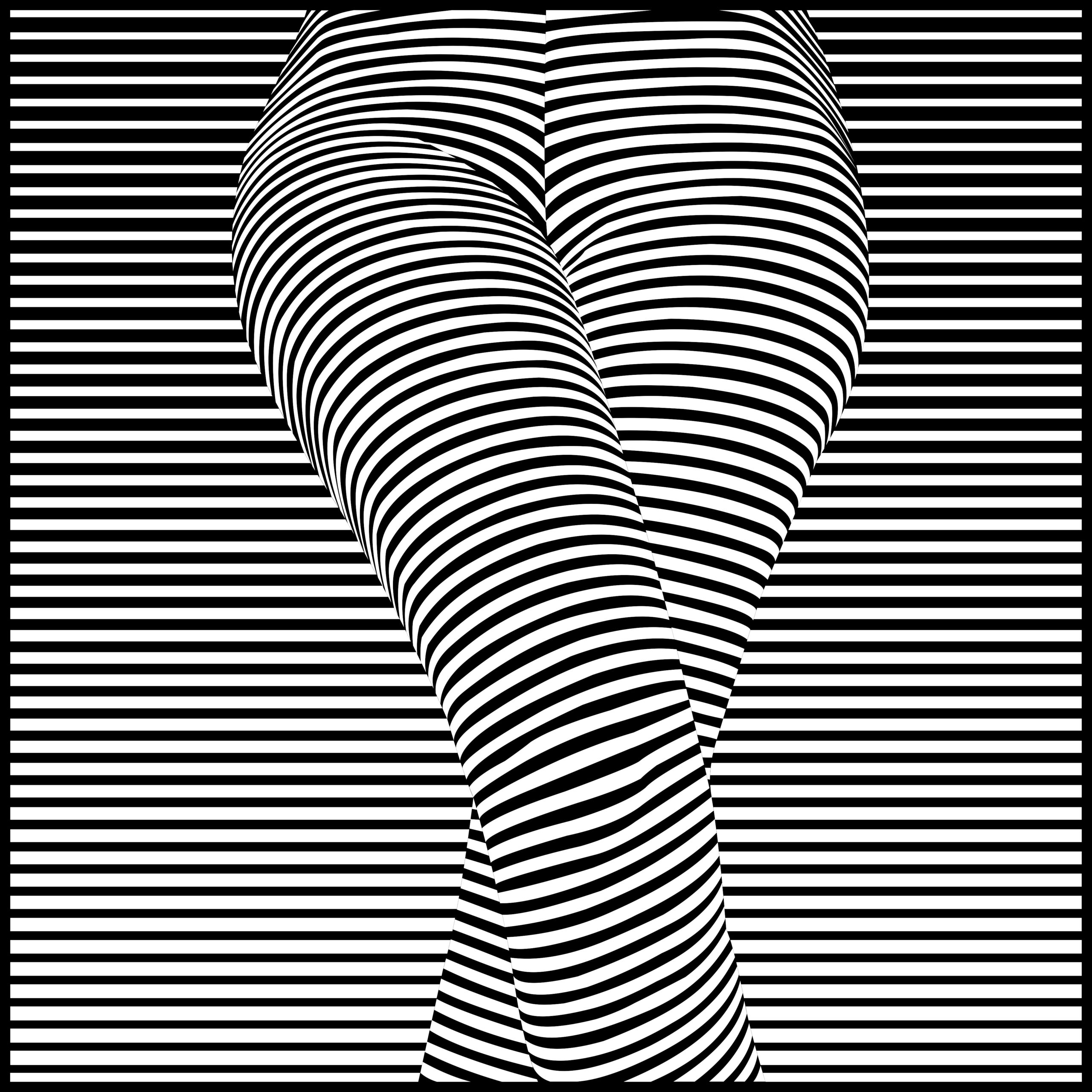 rawtorso
